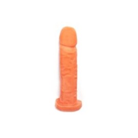 Dildo Flexo Lolipop SToys “You Belong Here”